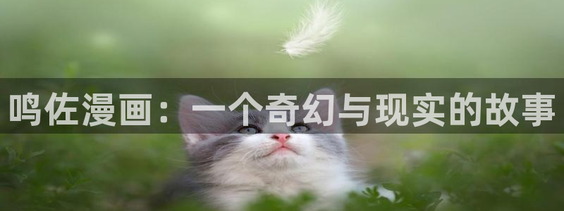 喵趣漫画免费版下载入口