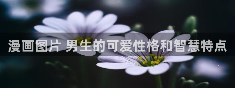 《喵趣漫画》正版下载：漫画图片 男生的可爱性格和智慧特点