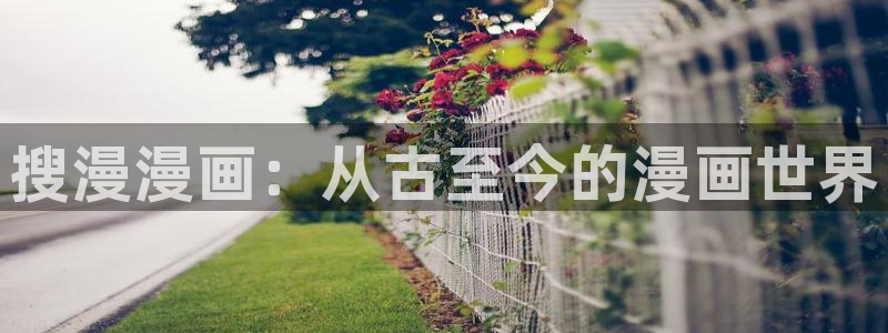 喵趣漫画在线下载：搜漫漫画：从古至今的漫画世界