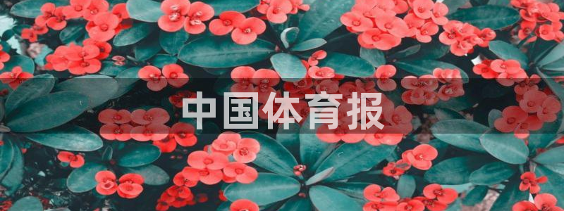 喵趣动漫安装：中国体育报