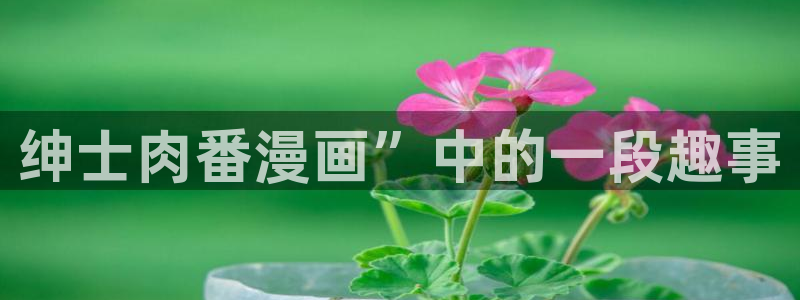 喵趣漫画ios怎么下载安装：绅士肉番漫画”中的一段趣事