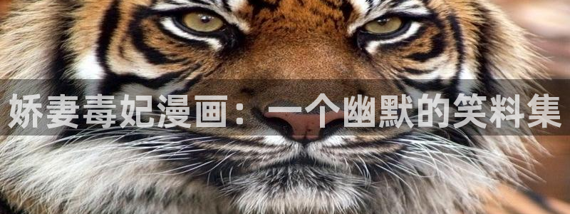 喵趣漫画ios怎么下载：娇妻毒妃漫画：一个幽默的笑料集