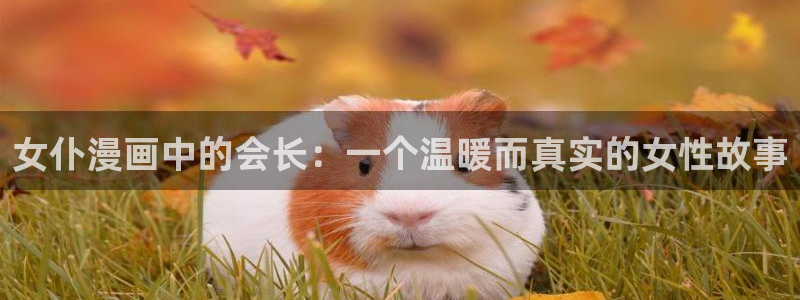 《喵趣漫画》正版下载