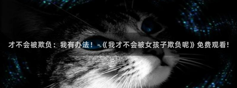 喵趣影视