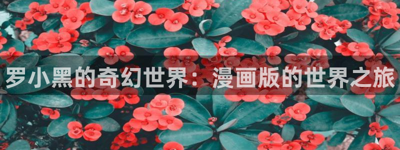 喵趣漫画官方入口