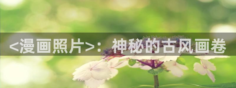 www..喵趣.top