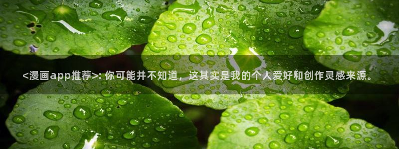 喵趣包