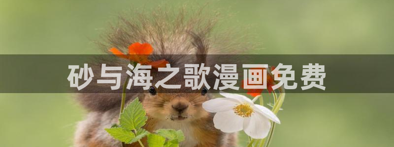 喵趣漫画正版免费