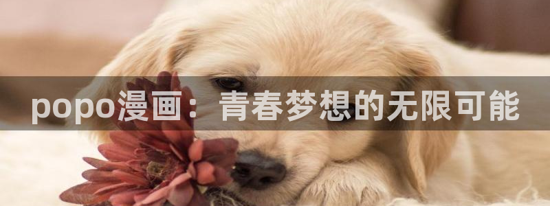 喵趣漫画 官网