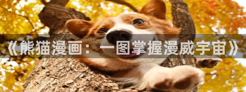 喵趣